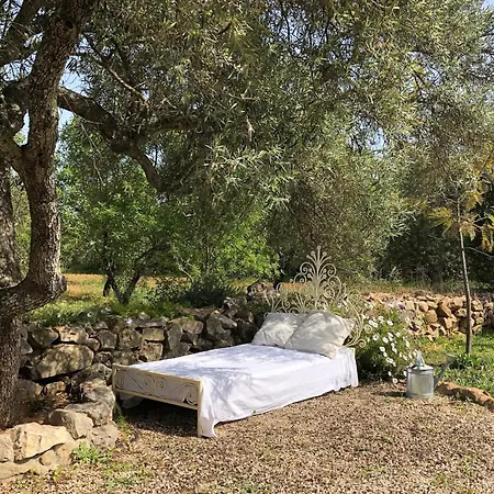 ベッド・アンド・ブレックファスト Casa Ameixas モンカラパッショ