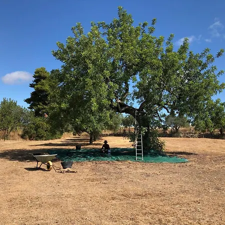 Casa Ameixas Nocleg ze śniadaniem 3*